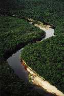 Amazonia