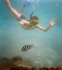 Coral Sea