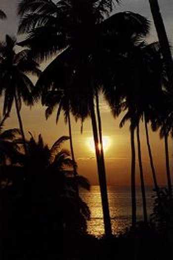 Tioman